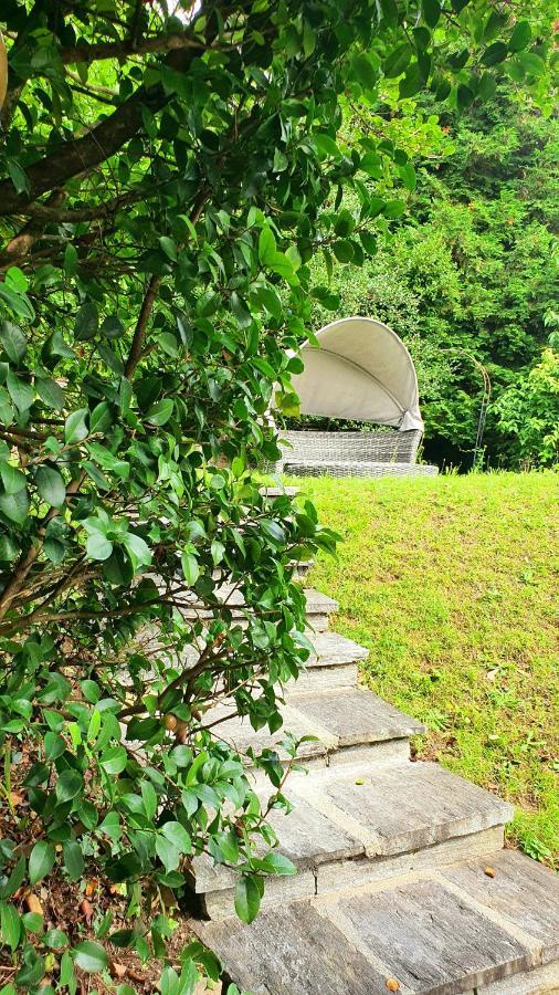 Bella Vista Lago Maggiore Einzigartiger Blick 365 Tagen กิฟฟา ภายนอก รูปภาพ
