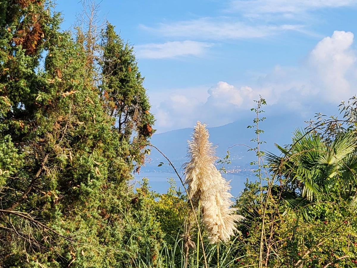 Bella Vista Lago Maggiore กิฟฟา ภายนอก รูปภาพ