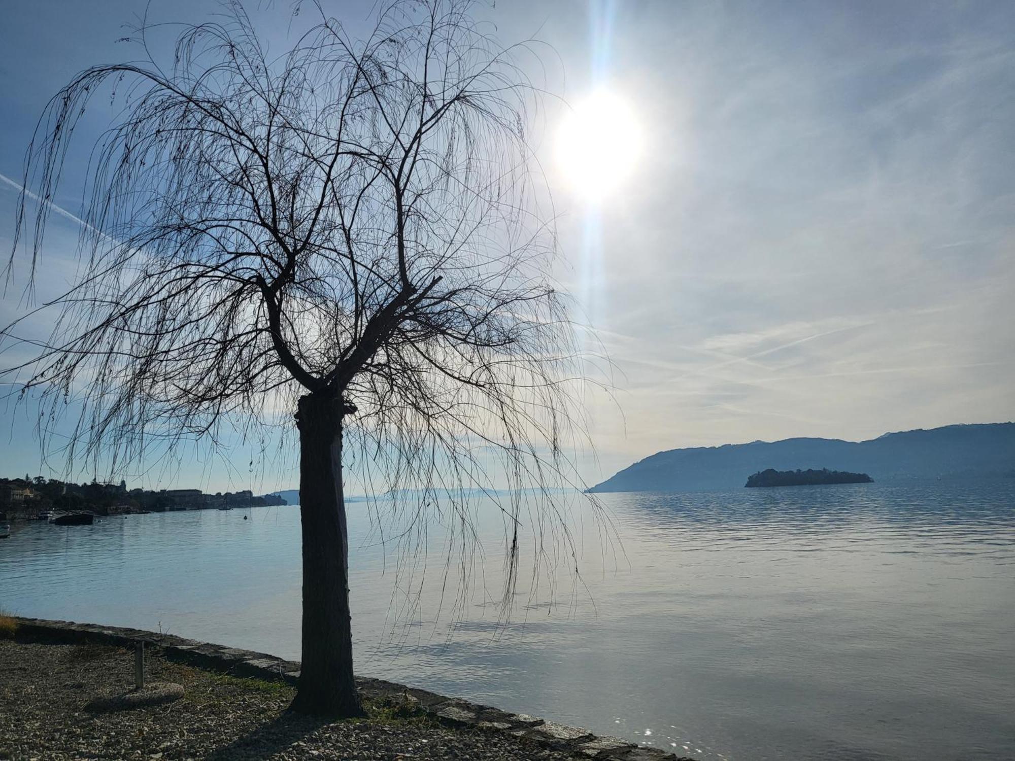 Bella Vista Lago Maggiore กิฟฟา ภายนอก รูปภาพ